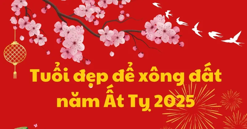 Chọn một thời gian và thời gian dễ chịu để tấn công thỏ tuổi 2025