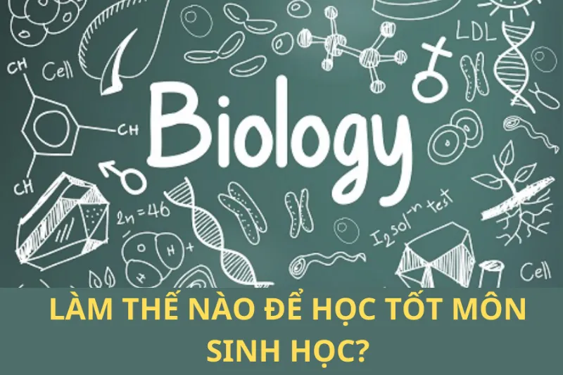 Học sinh học hiệu quả