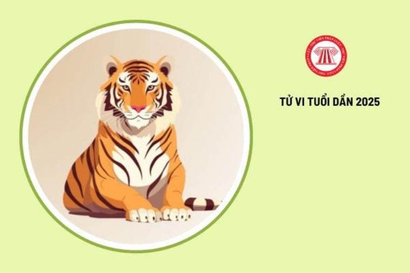 Khuyến nghị năm 2025 của Tiger