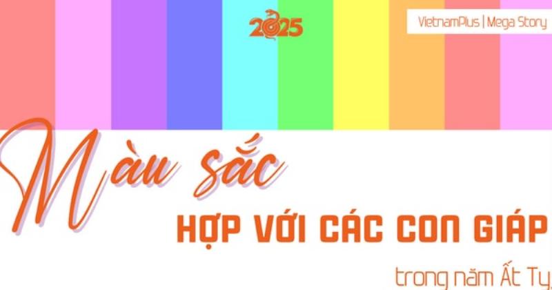 Màu sắc phù hợp với vàng: vàng, nâu, trắng, xám, bạc