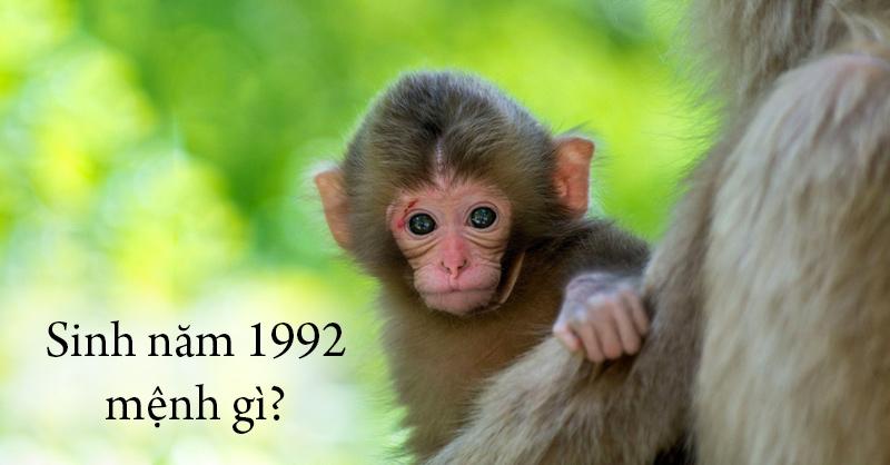 Một người đàn ông sinh năm 1992