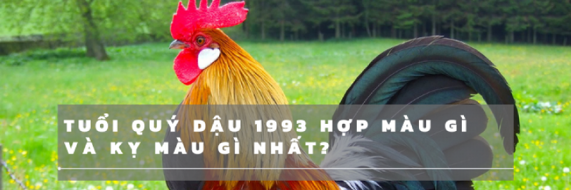 Dậu tuổi 1993 màu và phong thủy?