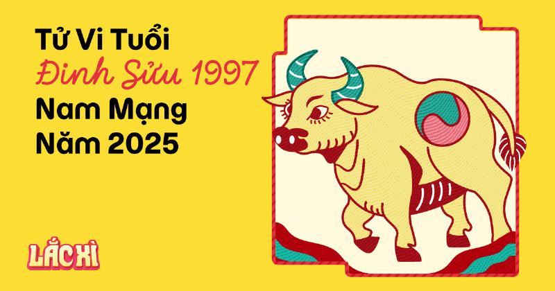 Dinh Suu (Mạng lưới Y tế nam 1997, 2025