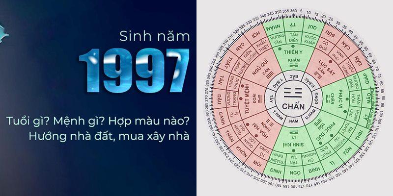 Con bò là vào năm 1985 và có màu xám trắng và bạc