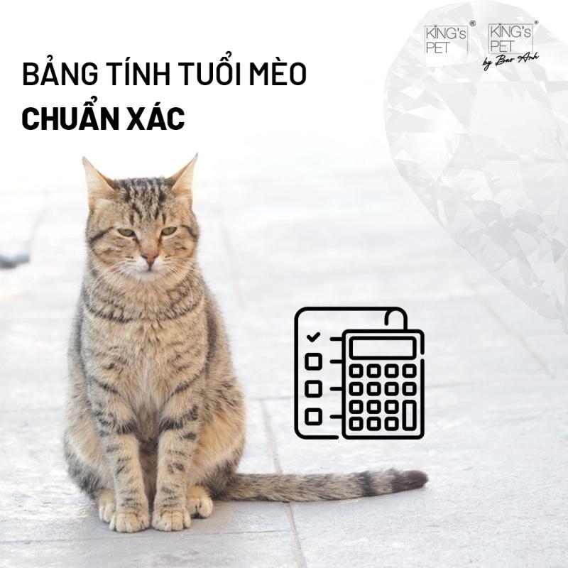 Ứng dụng bảng tính tuổi