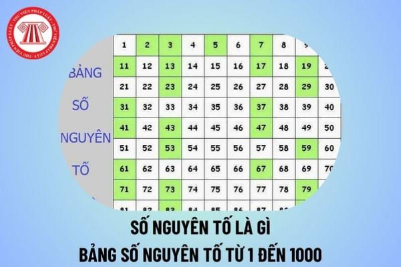 Tại sao 1 không phải là số nguyên tố