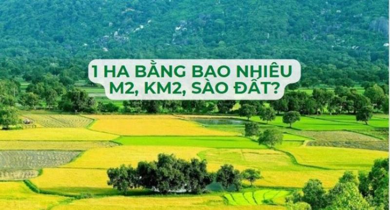 Chuyển đổi 1ha thành M2