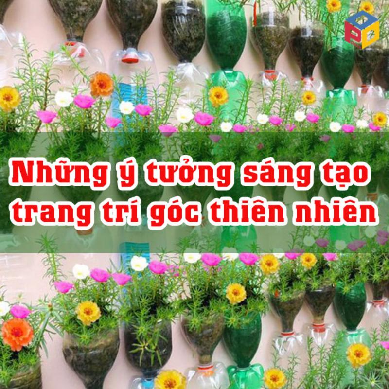 Trang trí các góc tự nhiên của trường mầm non với cây và hoa