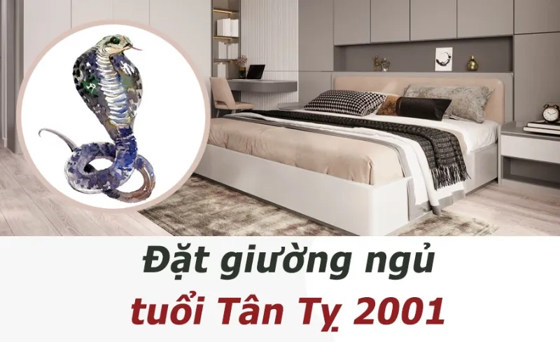 Phòng ngủ tuổi Tân Tỵ