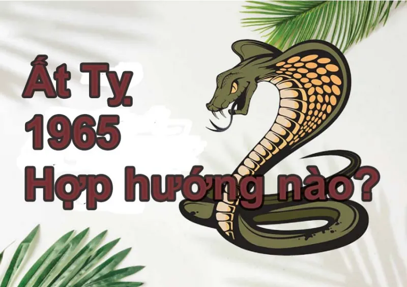 Phong thủy nhà ở cho gia chủ Ất Tỵ