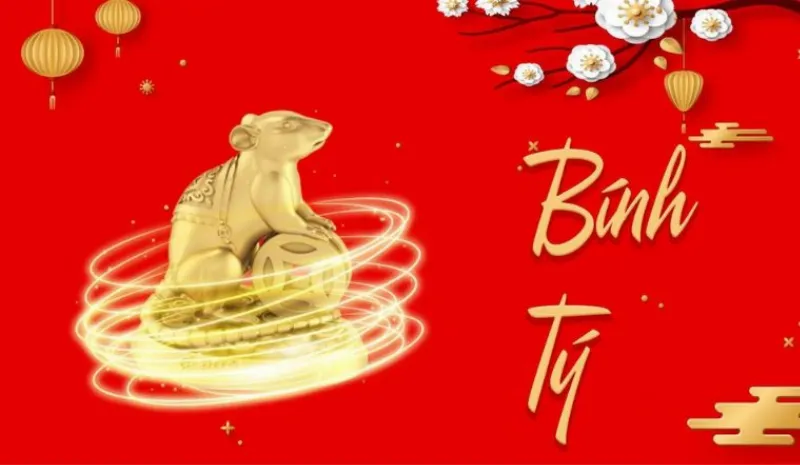 Số Hợp Tuổi Bính Tý