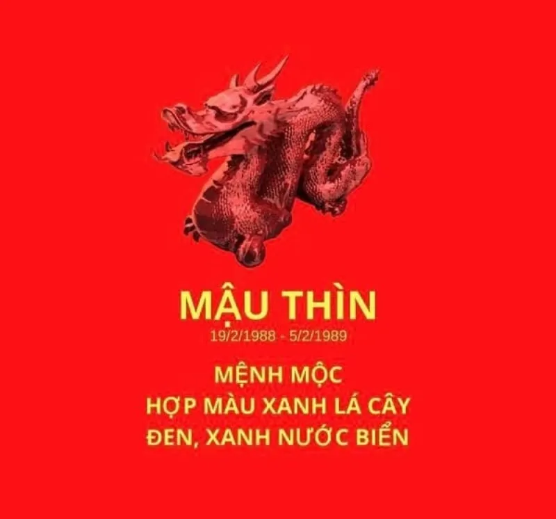 Vật phẩm phong thủy cho người tuổi Mậu Thìn 1988