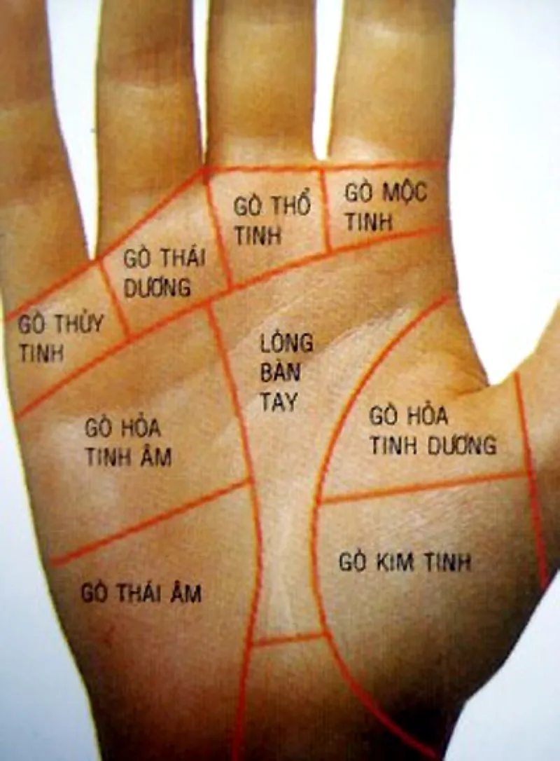 Tử vi 1999 nữ mạng năm 2024