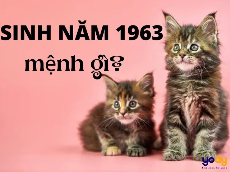 Tuổi Quý Mão 1963 hợp tuổi nào