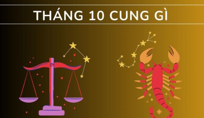 27 tháng 10 là cung gì? Tính cách, tình yêu và sự nghiệp 2 Bọ Cạp 27/10: Bí ẩn và Quyến rũ