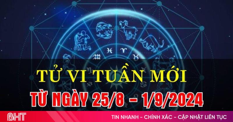 Bọ Cạp Báo Thù: Chiến lược và sự kiên nhẫn