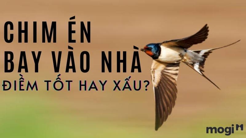 Chim Bay Vào Nhà Là Điềm Gì? Giải Mã Bí Ẩn Dân Gian 2 Chim én bay vào nhà: Điềm lành hay điềm dữ?