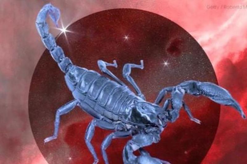 Cơ hội thăng tiến Ma Kết