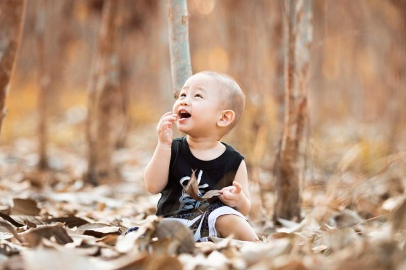 Đặt Tên Con Trai Năm 2024 Hợp Tuổi Bố Mẹ 2 Đặt Tên Con Trai 2024 Hợp Tuổi Bố Mẹ Mệnh Kim