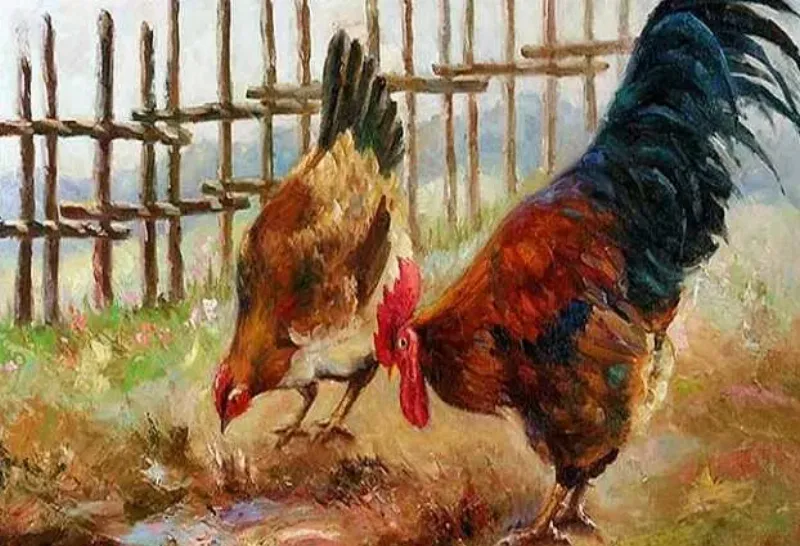 Đinh Dậu Sinh Năm Bao Nhiêu? Giải Đáp Chi Tiết 2 Người tuổi Đinh Dậu làm việc