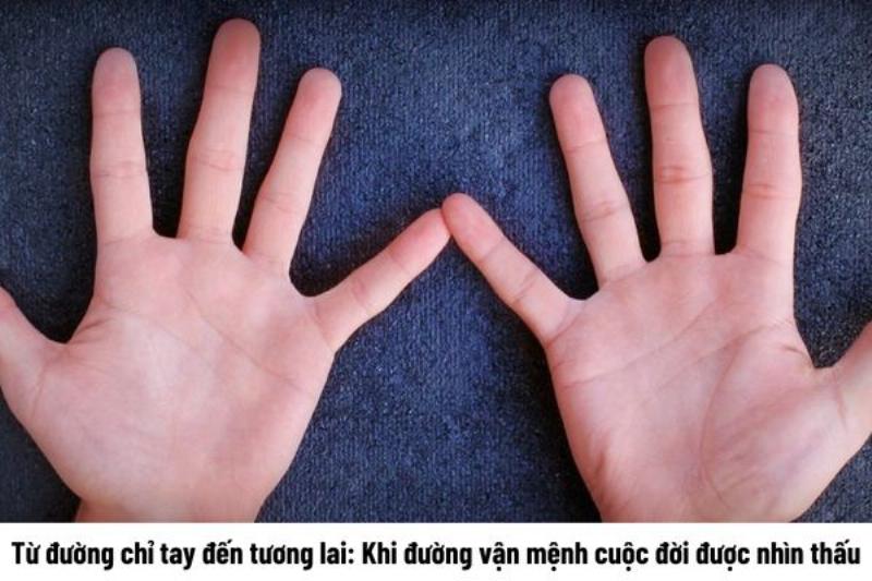 Đường chỉ tay và vận mệnh: Hình ảnh bàn tay mở, thể hiện sự tự do, làm chủ cuộc sống.