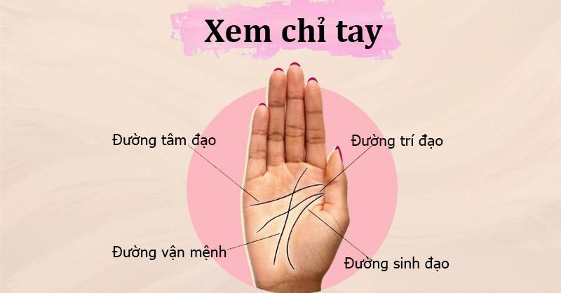 Giải mã đường chỉ tay chết sớm: Hình ảnh bàn tay với các đường chỉ tay được đánh dấu.