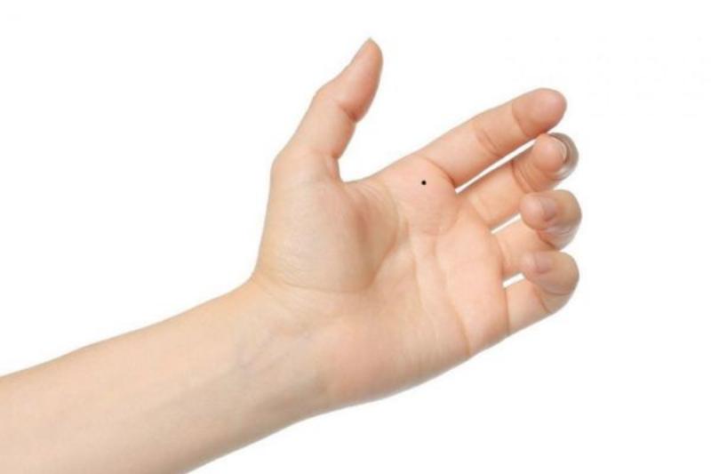 Gò Mộc Tinh nổi bật thể hiện tham vọng