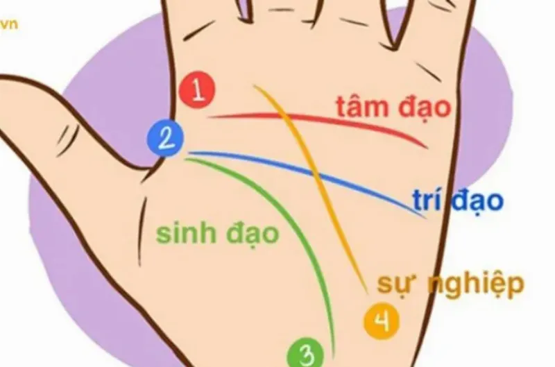 Gò Thái Dương nổi bật thể hiện tài năng nghệ thuật