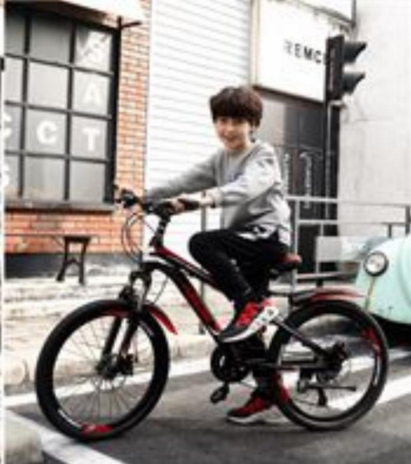 20 Inch Bằng Bao Nhiêu Cm? Chuyển Đổi Nhanh Chóng và Chính Xác 3 Kích thước bánh xe đạp 20 inch