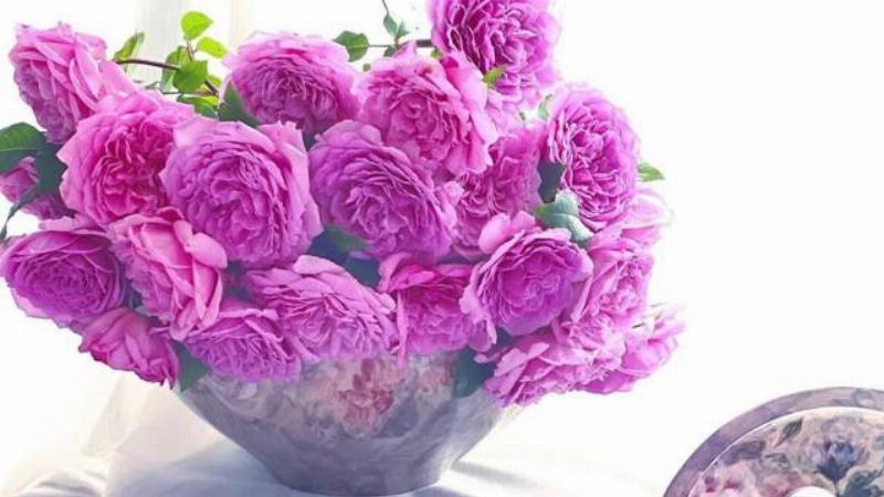 6/5 Cung Gì: Khám Phá Bí Mật Về Bản Thân 4 Kim Ngưu 6/5: Sự Nghiệp và Tài Chính