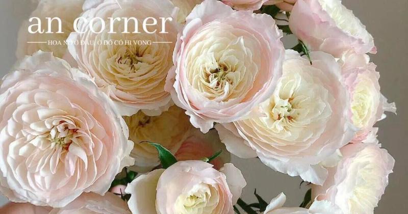 Lắng nghe lời khuyên từ tử vi hàng ngày thiện tuệ