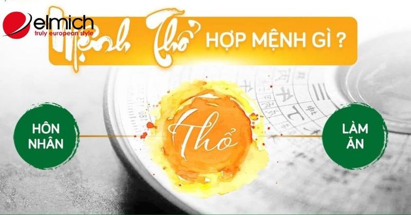 Màu sắc hợp và kỵ mệnh Mộc 2028