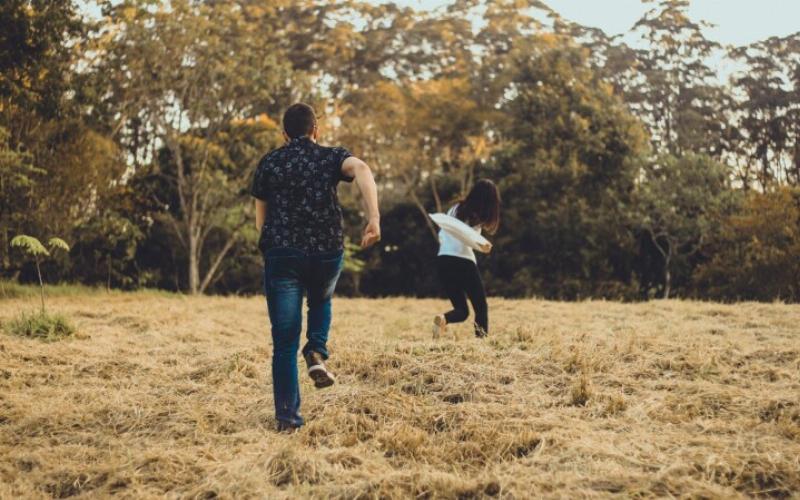 Giải Mã Giấc Mơ Thấy Cá Sấu: Điềm Báo Hay Chỉ Là Ảo Ảnh? 3 Nằm mơ thấy nhiều cá sấu: Áp lực và cạnh tranh