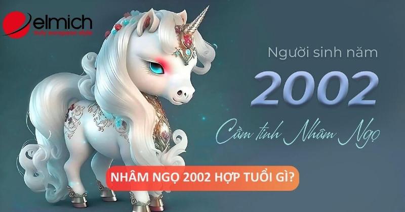 Sinh năm 2002 và sự nghiệp