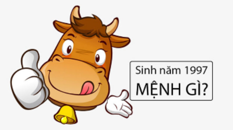 Tính cách đặc trưng của người sinh năm 1997