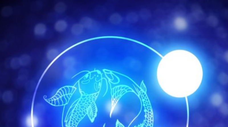 Song Ngư 20/2: Sự Nghiệp