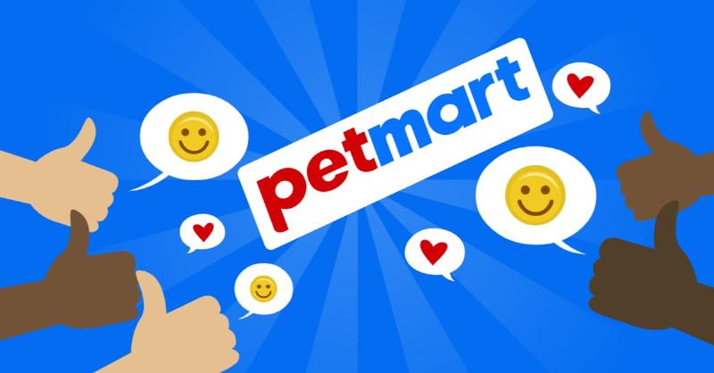 Tắc Kè Ở Trong Nhà: Tốt Hay Xấu? Điềm Báo Gì? 2 Tắc kè ăn côn trùng