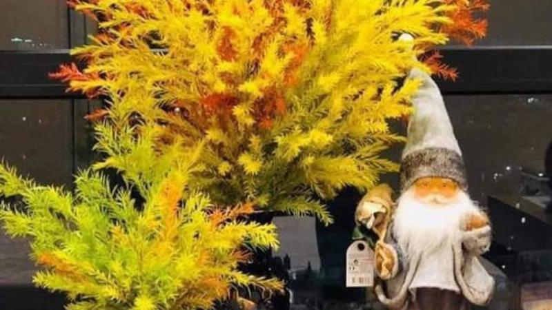 Thiên Bình 25/9 và sức khỏe