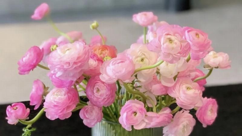 7/10 Là Cung Gì? Khám Phá Bí Mật Thiên Bình 4 Thiên Bình 7/10 Vượt Qua Thử Thách