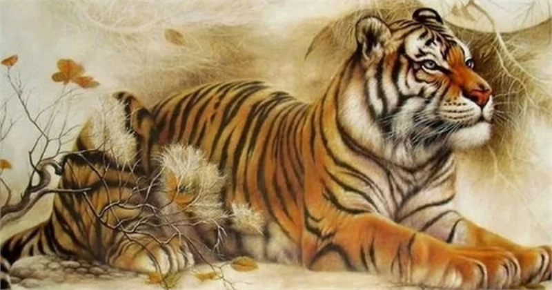 Tử vi tuổi Dần 1986 - Tính cách