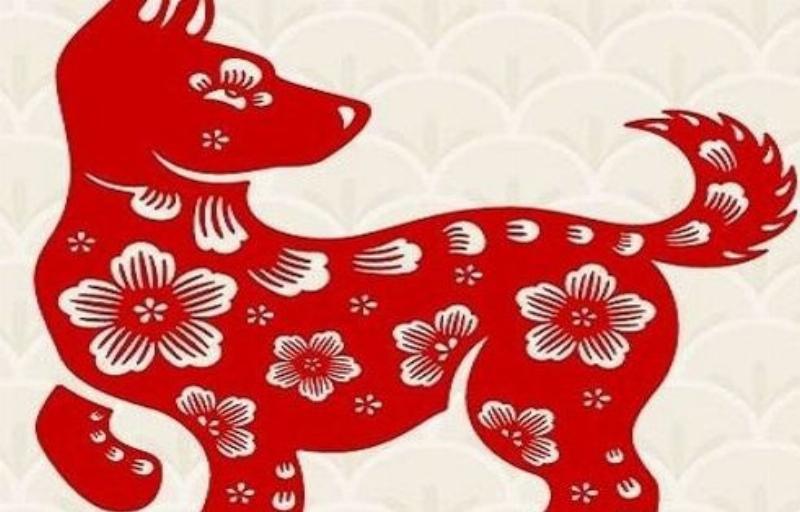 Tử Vi Tuổi Tuất 1994: Chi Tiết Vận Mệnh, Sự Nghiệp, Tình Duyên 4 Tử vi tuổi Tuất 1994 lời khuyên