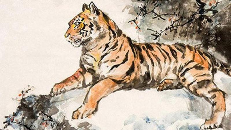 Tuổi Dần là con gì? Giải mã bí ẩn về người tuổi Dần 4 Tuổi Dần theo năm sinh