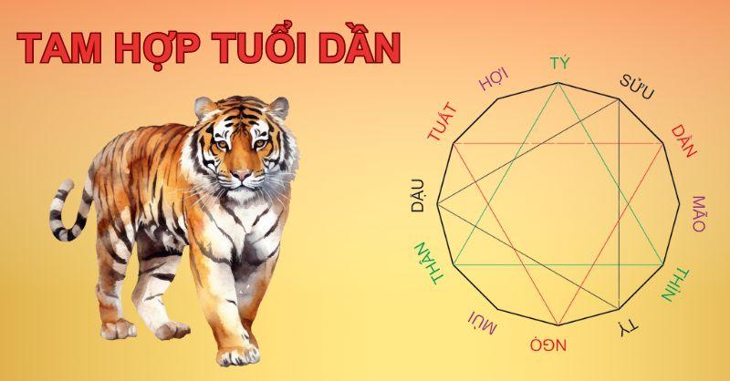 Tuổi Hổ hợp tuổi nào