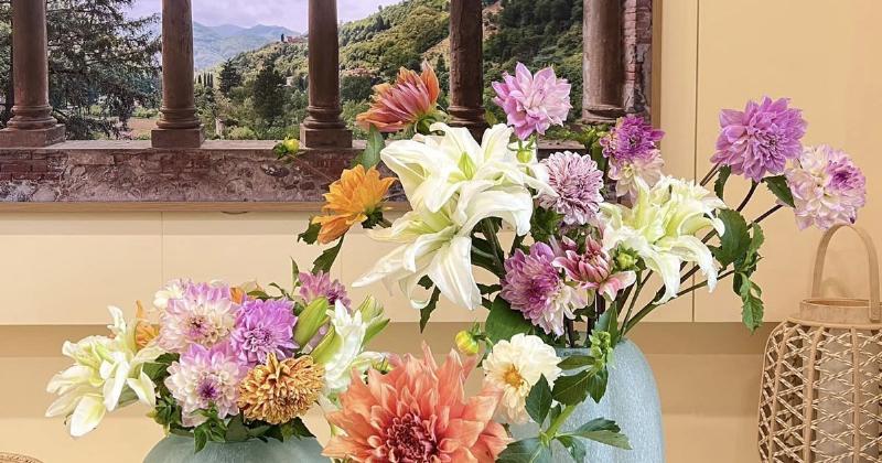 Xử Nữ 31/8: Thực Tế Và Lý Tưởng