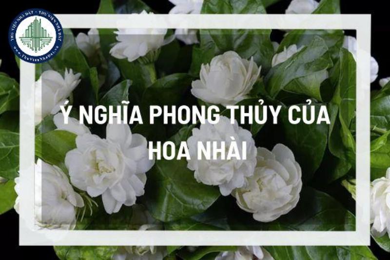 Bài Trí Hoa Nhài Phong Thủy