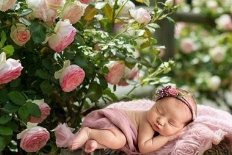 Hình ảnh Bích Thượng Thổ trên vách đá