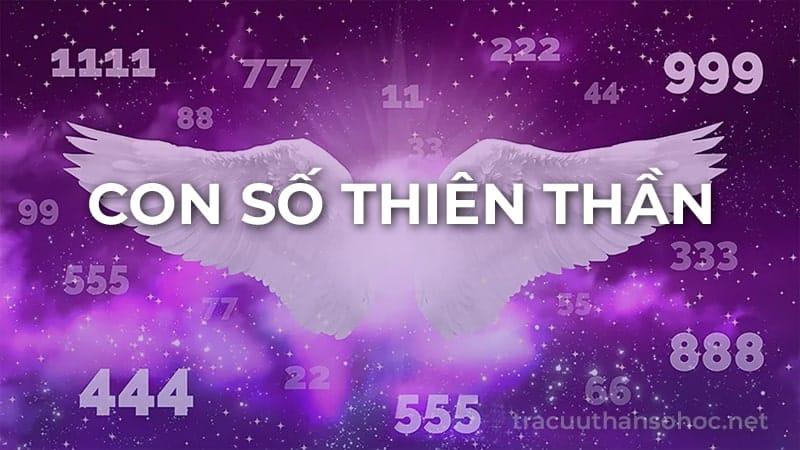 Biểu hiện của 222 trong đời sống hàng ngày - Đồng hồ, biển số xe