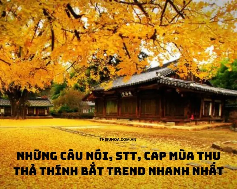 Cap Thả Thính Về Mùa Thu Hay Nhất 2 Cap thả thính mùa thu ngọt ngào