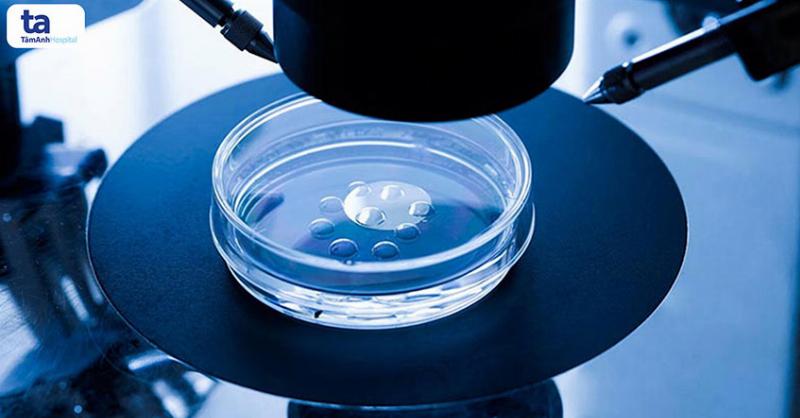 Cách Chép Kinh Cho Người Mới Bắt Đầu 3 Tư thế chép kinh đúng