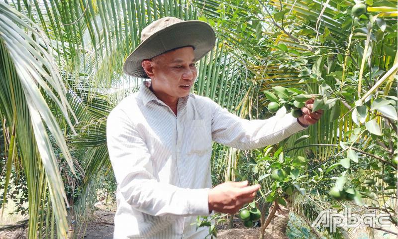 24/12 Âm là Ngày Mấy Dương 2024? 4 Chuẩn bị cho Tết Nguyên Đán 2025